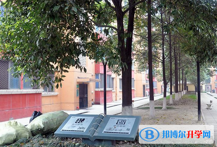 成都外國語學校中美國際高中2021年報名條件、招生要求、招生對象