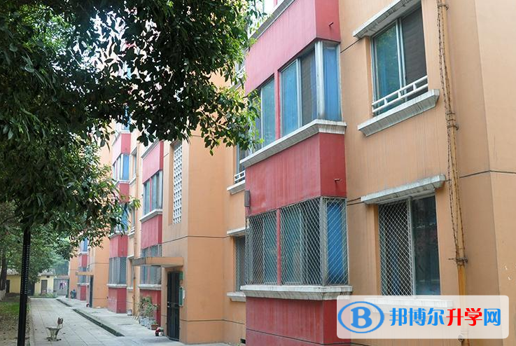成都外國語學校中美國際高中2021年招生辦聯系電話