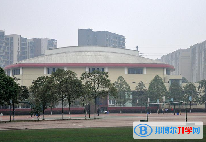 成都外國語學校中美國際高中網站網址 