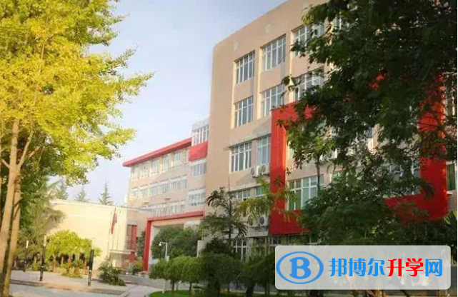 青苗國際雙語學(xué)校成都校區(qū)2021年報名條件、招生要求、招生對象