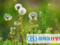 2021年寶雞教育網中考查詢