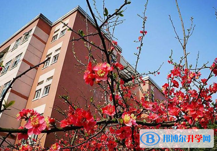 成都樹德中學(xué)國際部2021年報名條件、招生要求、招生對象