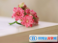 2021年楚雄中考報名網站是什么
