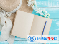 2021年紅河查詢中考成績用名字可以嗎