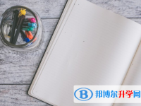 2021年紅河查詢中考成績