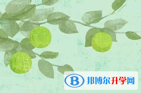 2021紅河網上查詢中考成績怎么查詢
