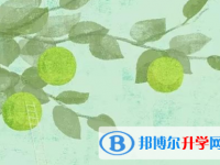 2021紅河網上查詢中考成績怎么查詢