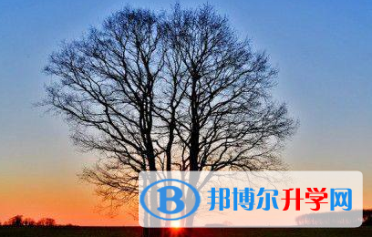 2021年紅河中考后幾天出成績