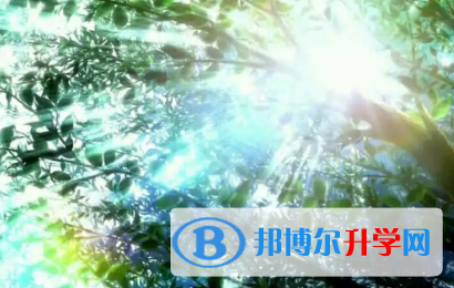 2021年紅河中考成績怎么算