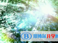 2021年紅河中考成績(jī)?cè)趺此? /><b>2021年紅河中考成績(jī)?cè)趺此?/b><span>2021-01-14 14:19</span><p>學(xué)習(xí)對(duì)每個(gè)人的重要性大家都知道，我們都知道學(xué)習(xí)代表未來(lái)，成績(jī)代表過(guò)去，學(xué)習(xí)成就人生，學(xué)習(xí)改變命運(yùn)，學(xué)習(xí)可以致富，這些話語(yǔ)</p></a></h3></li>
<li><h3><a href=