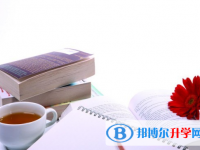 2021年紅河中考成績(jī)?cè)趺床樵? /><b>2021年紅河中考成績(jī)?cè)趺床樵?/b><span>2020-10-10 10:12</span><p>中考是一個(gè)實(shí)現(xiàn)人生夢(mèng)想的省力杠桿，此時(shí)是你撬動(dòng)它的最佳時(shí)機(jī)，以后你的人生將會(huì)呈弧線上升。大家不要害怕失敗，要有屢敗屢戰(zhàn)的</p></a></h3></li>
<li><h3><a href=