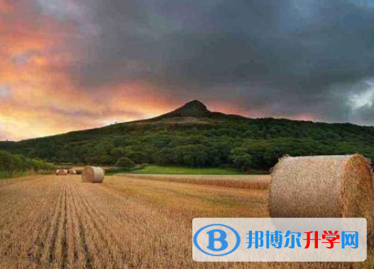 2021年紅河中考報考人數