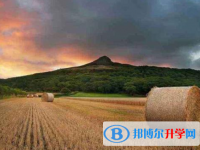 2021年紅河中考報考人數