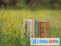 2021年紅河中考報(bào)名需要帶什么