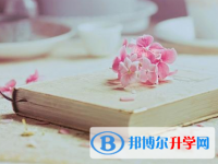 2021年紅河中考報(bào)名網(wǎng)站