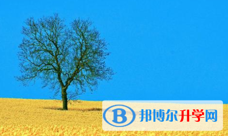 2021年寶雞中考特長生招生簡章