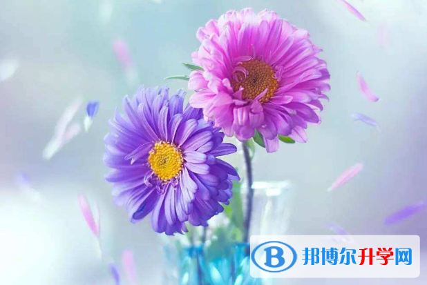 2021年寶雞中考網錄取系統