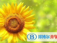 2021年寶雞中考網(wǎng)絡(luò)應(yīng)用平臺(tái)