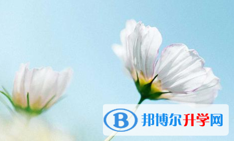  2021年寶雞中考網上報考信息平臺