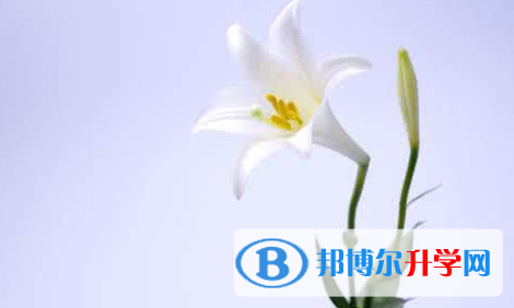  2021年寶雞中考信息服務(wù)平臺(tái)