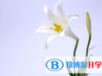 2021年寶雞中考信息服務(wù)平臺(tái)