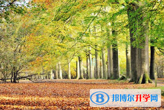 2021年寶雞今年中考統招線包括哪些區域