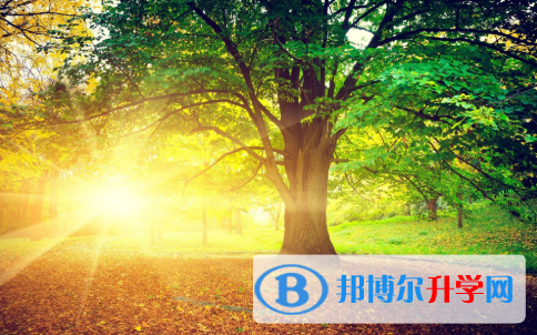 2021年寶雞今年中考哪些學校有招生