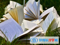 2021年文山中考重點(diǎn)線預(yù)測