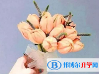 2021年寶雞中考需要準備什么