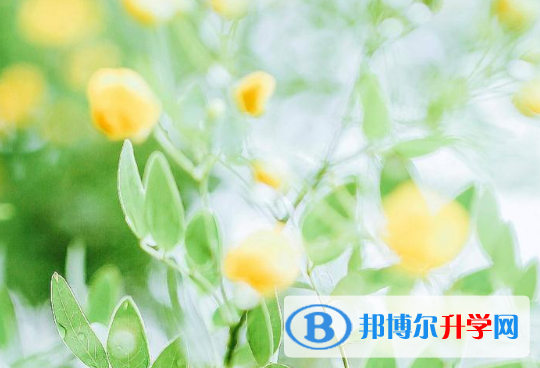 2021年文山今年中考哪些學校有招生