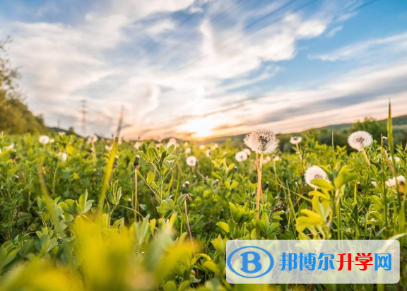 2021年寶雞沒有學籍可以參加中考嗎