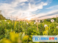 2021年寶雞沒有學籍可以參加中考嗎
