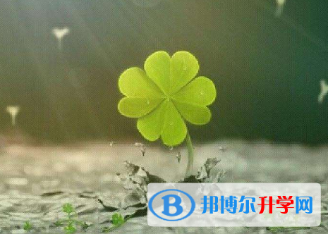2021年寶雞中考準考證丟了怎么辦