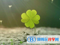 2021年寶雞中考準考證丟了怎么辦