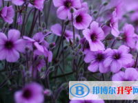 2021年寶雞中考后可以上什么學校