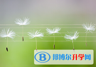 2021年西雙版納中考后計(jì)劃