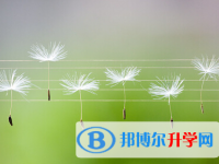2021年西雙版納中考后計劃