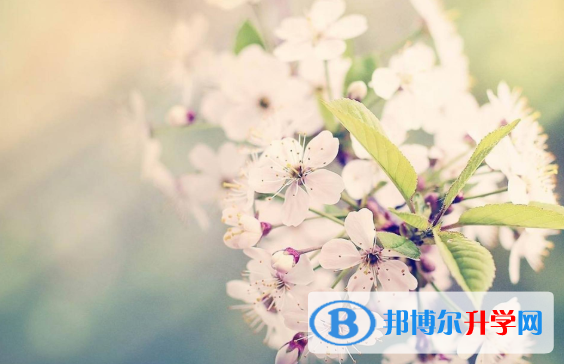  2021年寶雞中考填報志愿后還可以改嗎