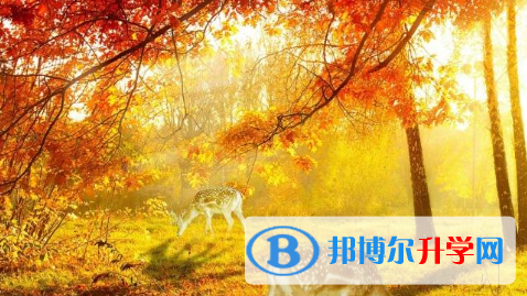 2021年寶雞中考調劑志愿是什么意思