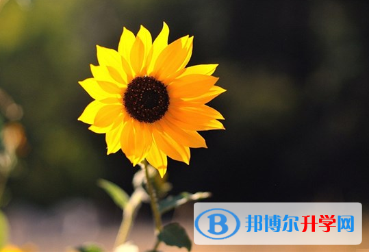 2021年西雙版納中考重點復習