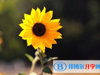 2021年西雙版納中考重點復習