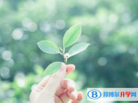 2021年西雙版納中考模擬填報志愿