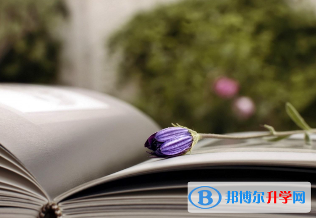 2021年西雙版納中考網上志愿如何打印