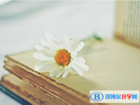 2021年西雙版納中考報名系統網址