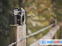 2021年西雙版納中考報名網站是什么