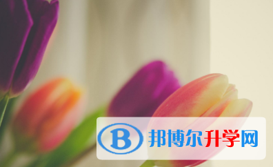 2021年大理網(wǎng)上查詢中考成績(jī)