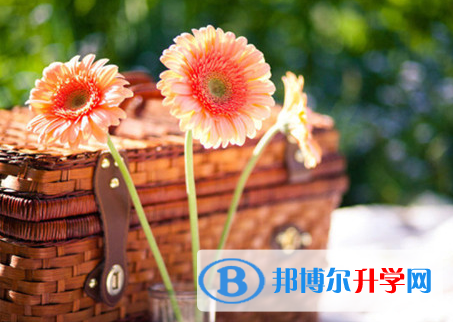 2021年大理查詢中考成績用名字可以嗎