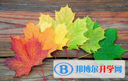 2021年大理中考成績在哪里查詢