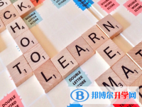 2021年大理中考報名號