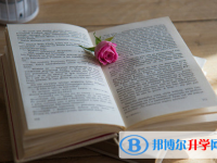 2021年大理中考報考攻略